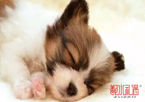 增色G20,我们已经用上洪荒之力啦