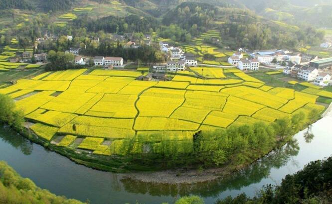 春风十里不如“礼”